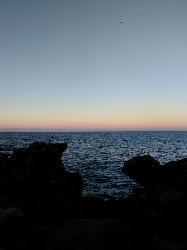 Sea