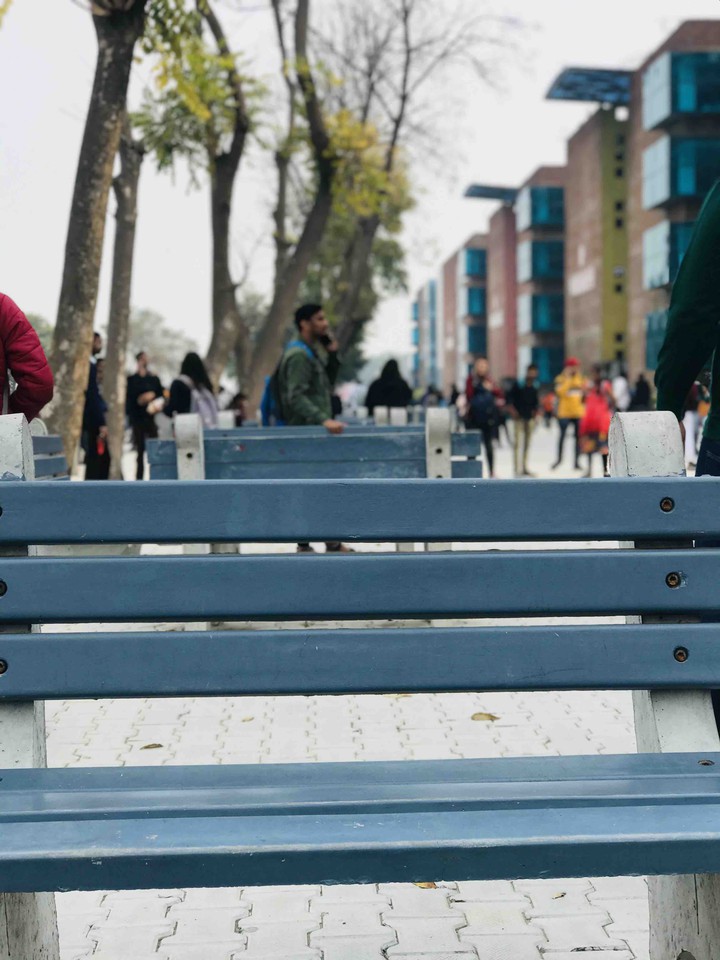 bench