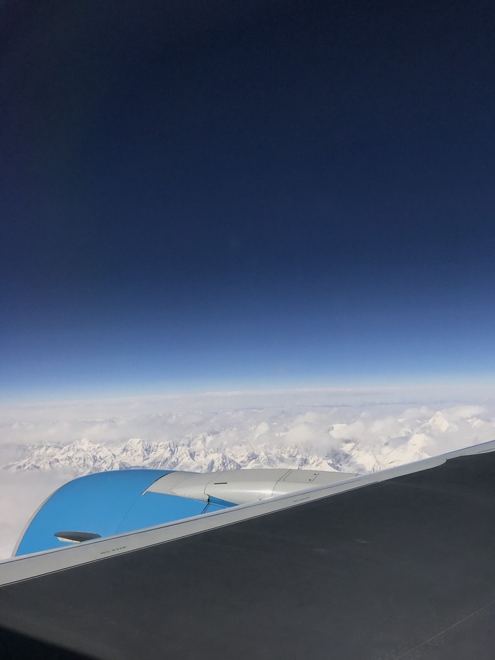 fly