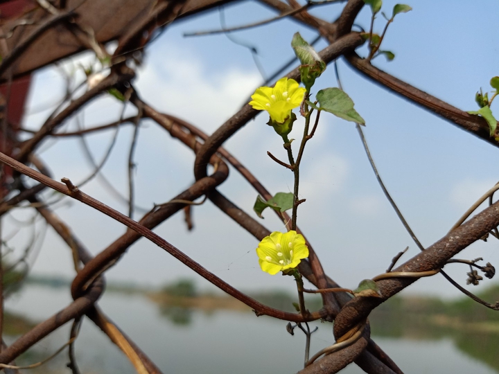 trip_00_graphy