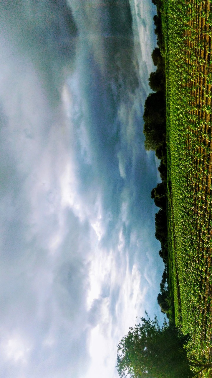 Beauty of Nature, Really overhelming us