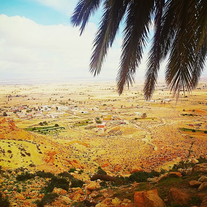 paysage