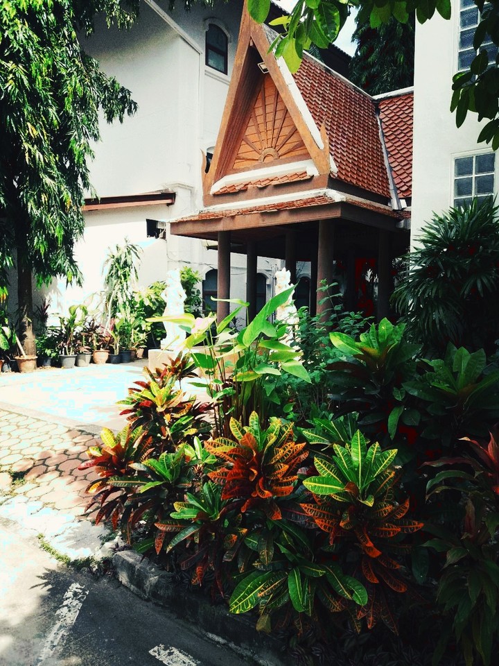 The garden