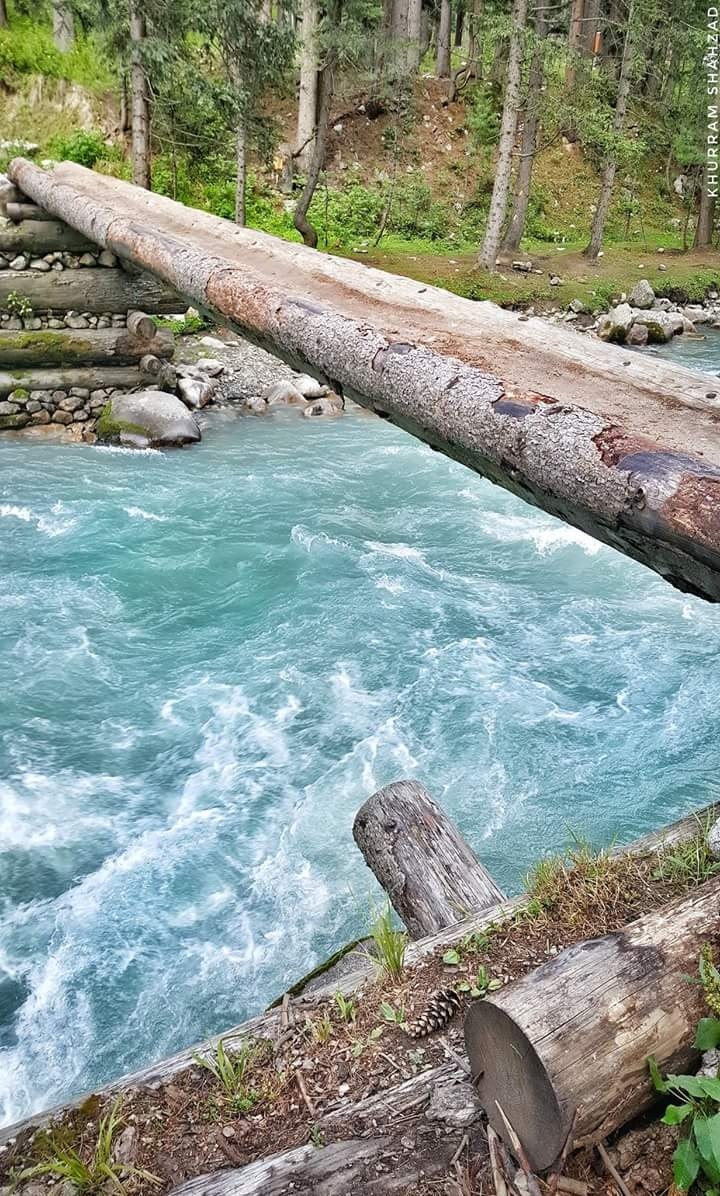 Beauty of Nature
