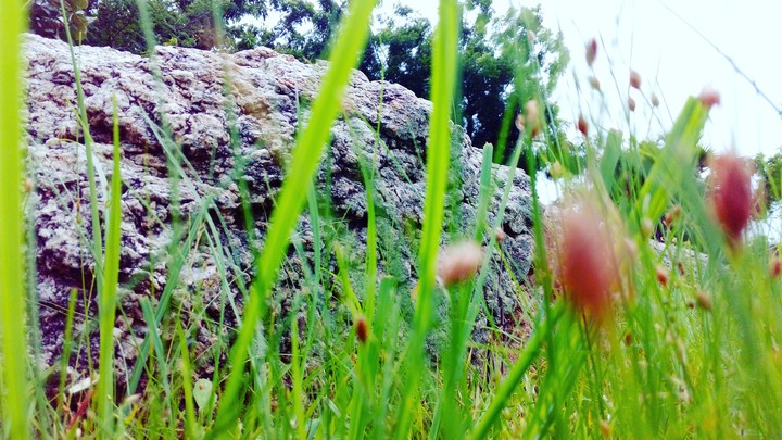 green and rock world