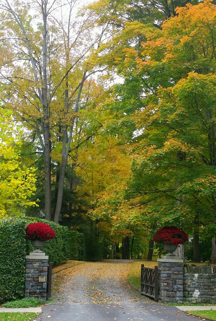cooperstown