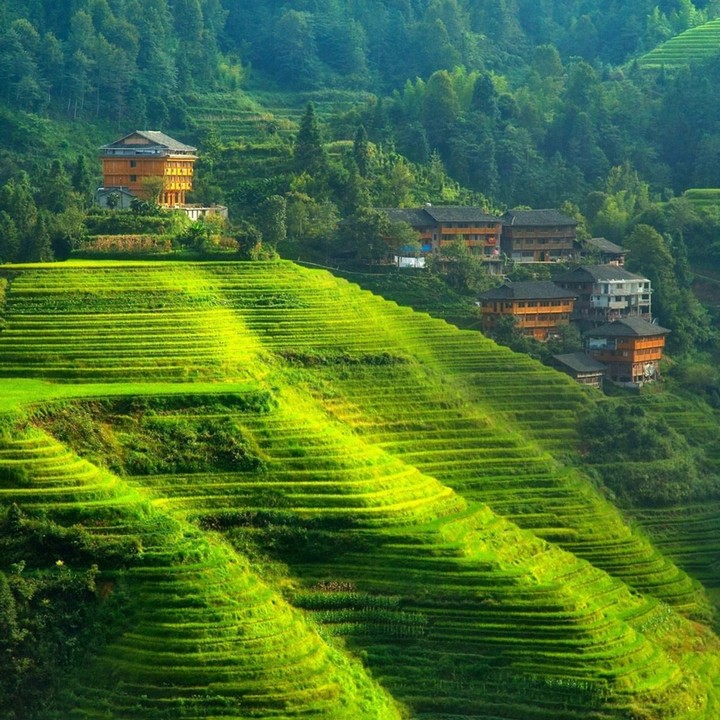 Nature
