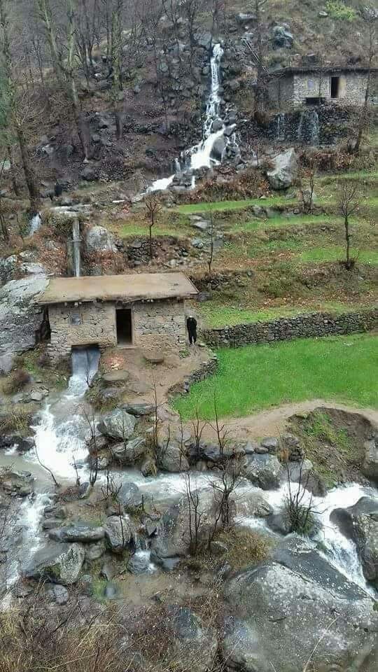 سوات