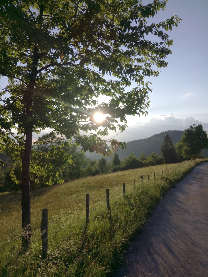 walking to the sunset