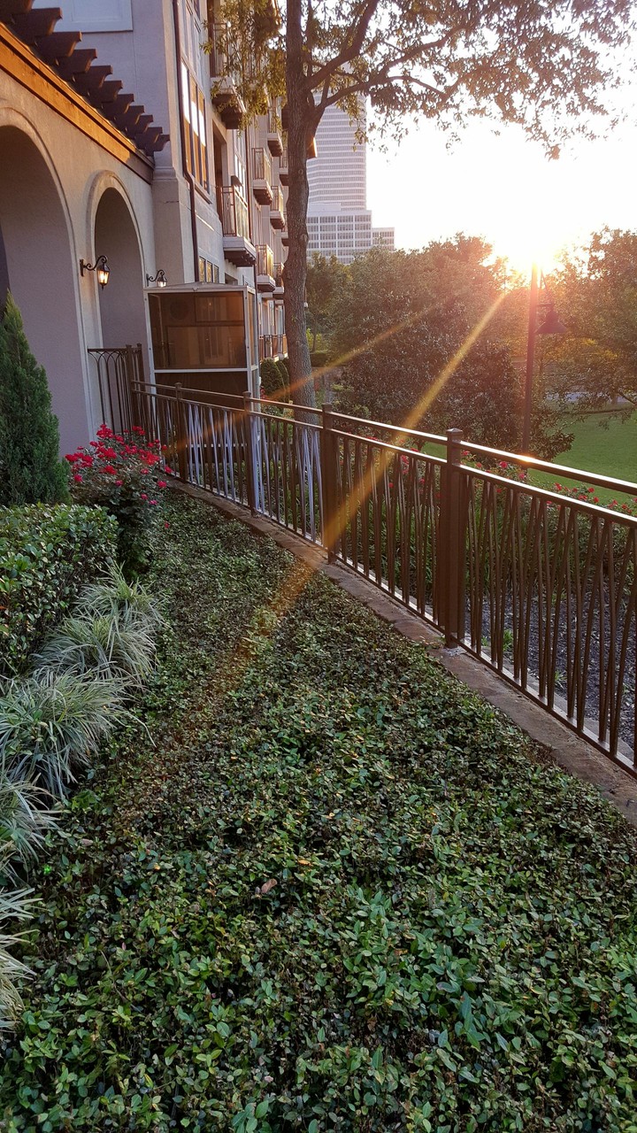 Setting Sun
