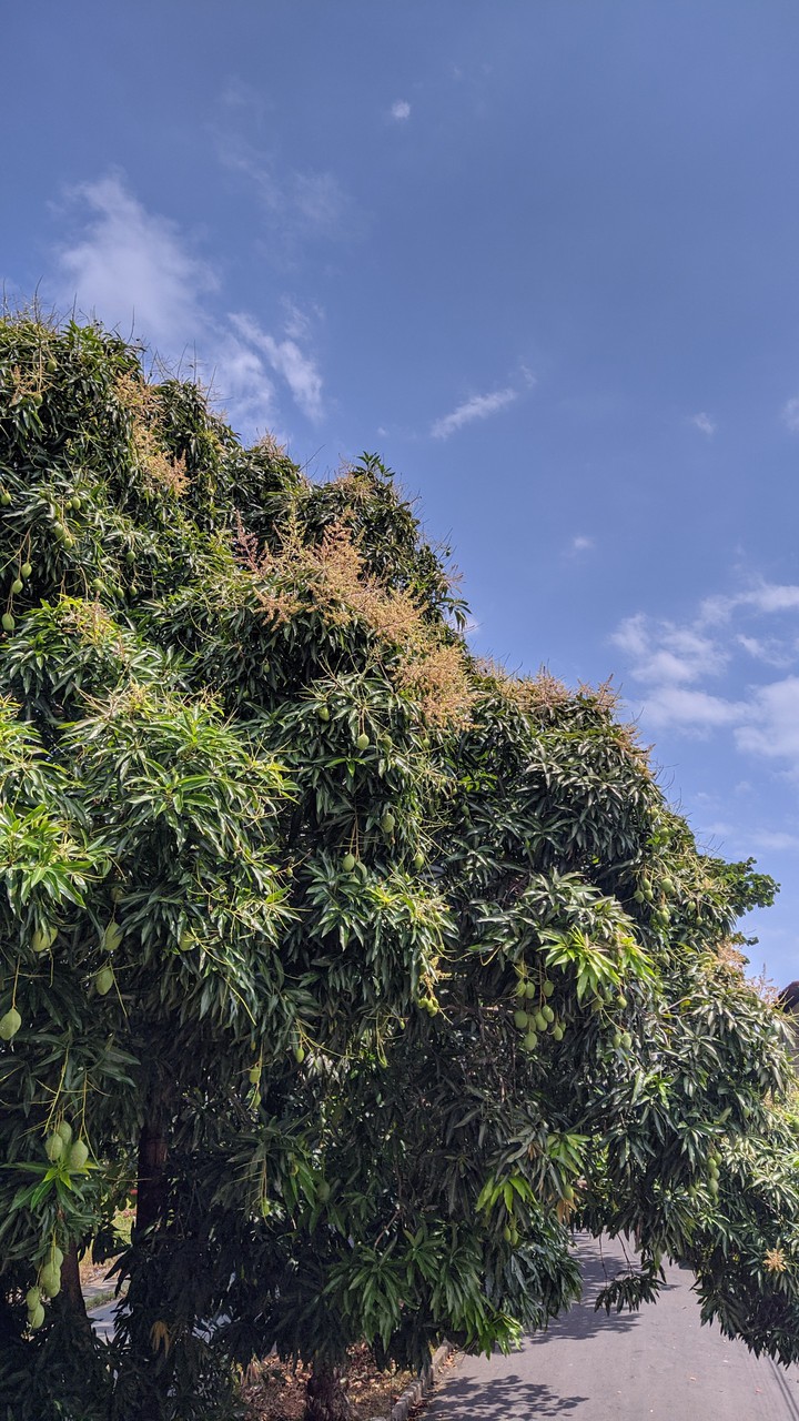 Manhã de sábado