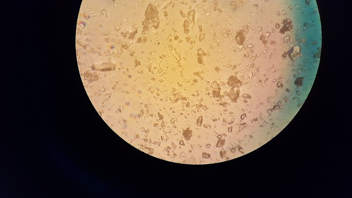 microscopy