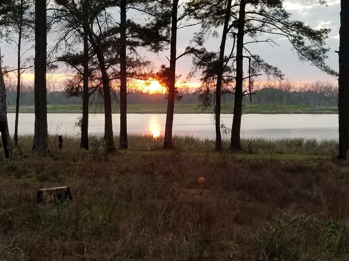 Pond Sunset