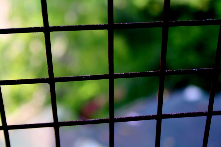 window