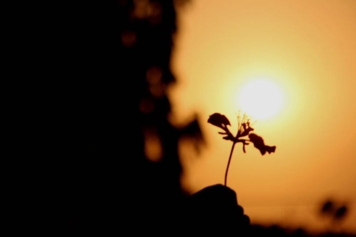 beauty of darkness