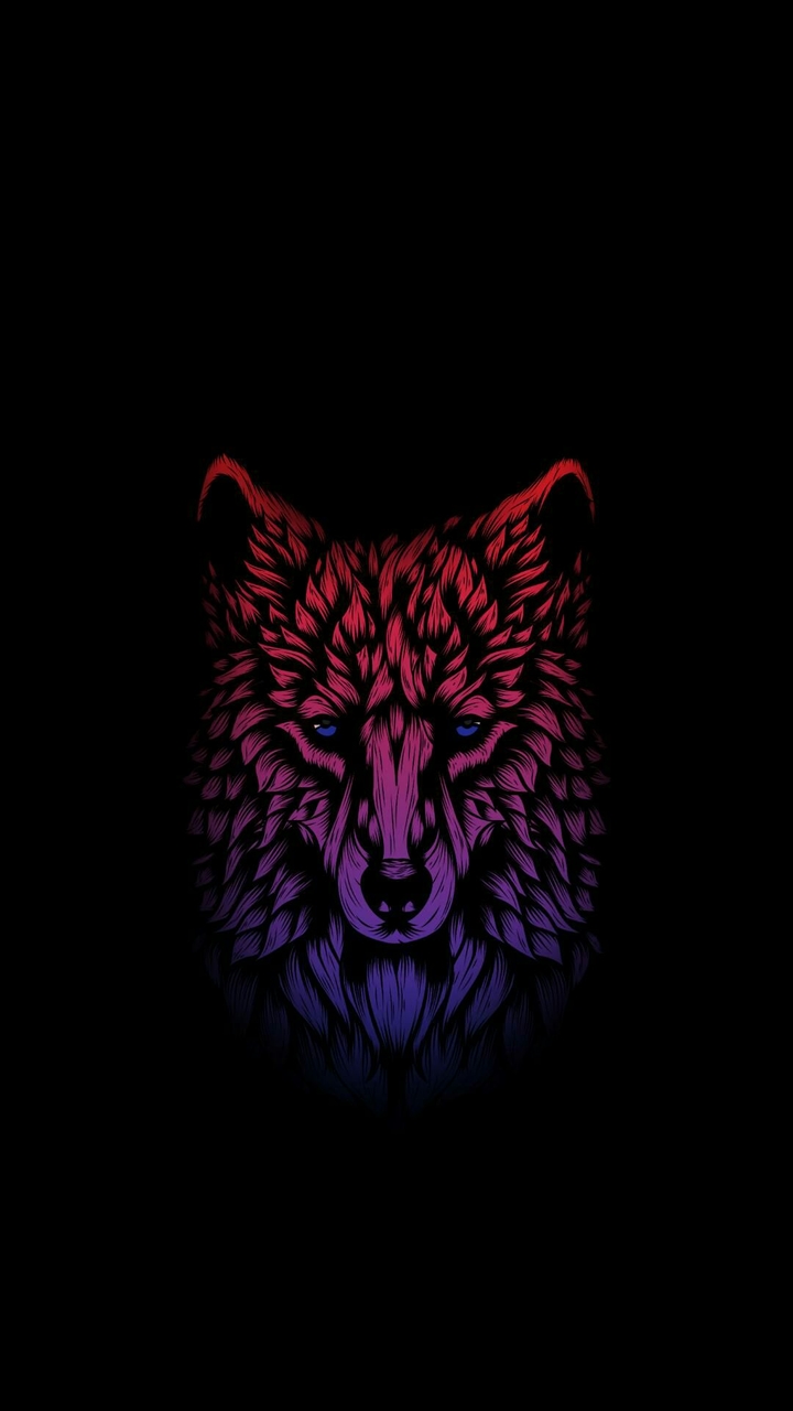 wolf in dark