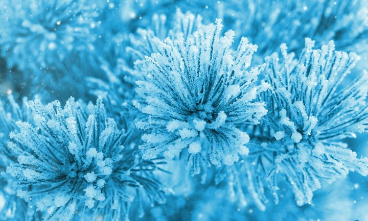 Winter