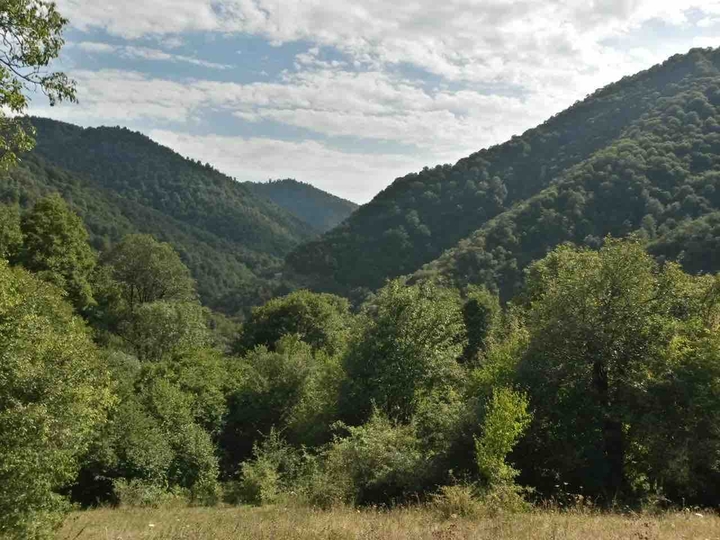 Tovuz