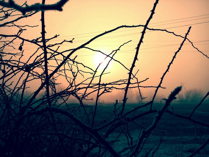 sun