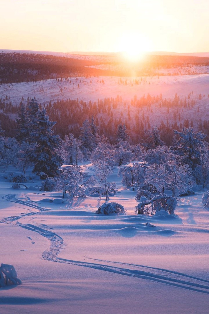 Snow⭐