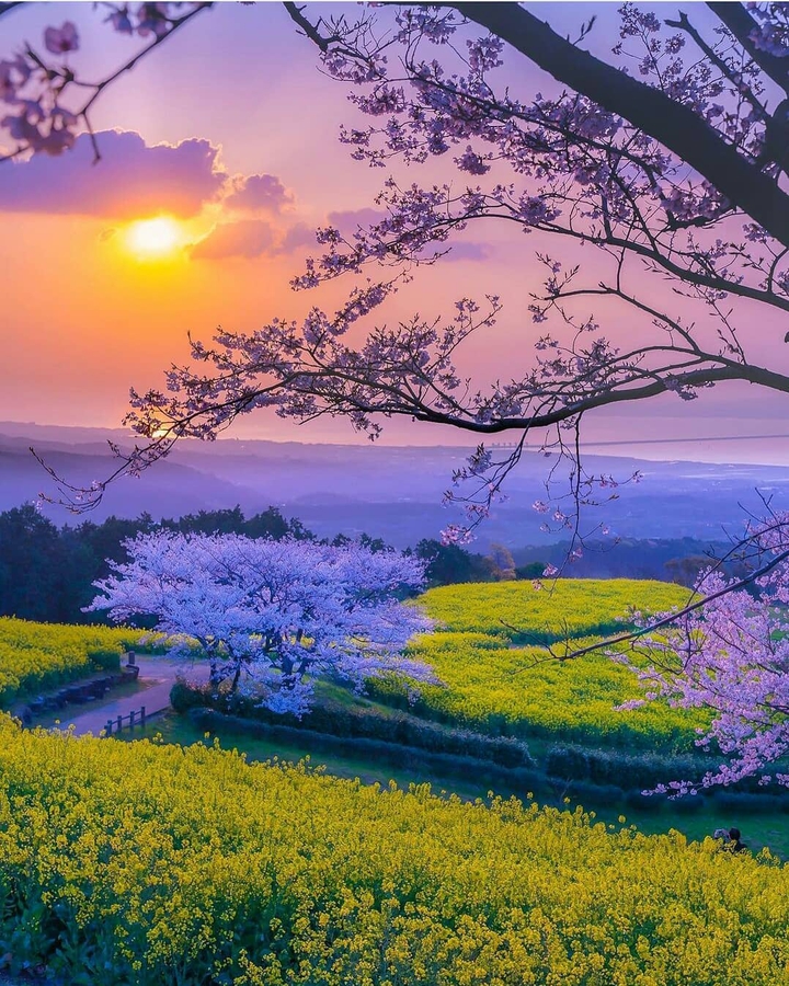 Nature