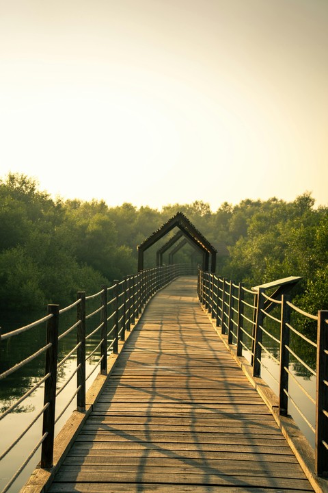 bridge–tunnel, walkway wallpapers