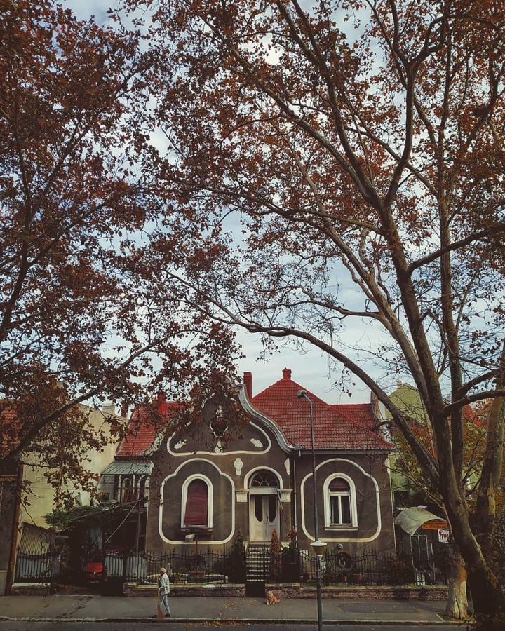 architecture