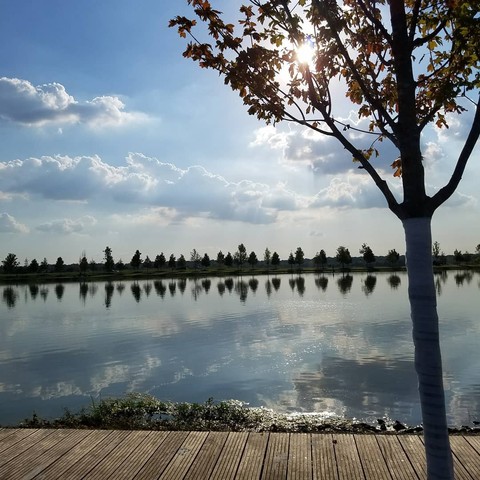 Taking photos of God's work free my mind