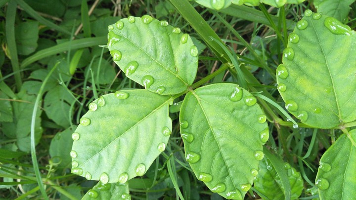 #Green