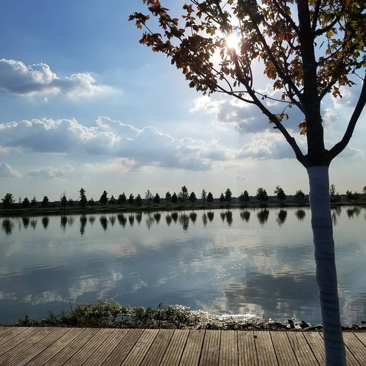 Taking photos of God's work free my mind