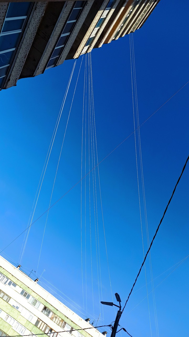 lines