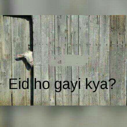 haha haha.......