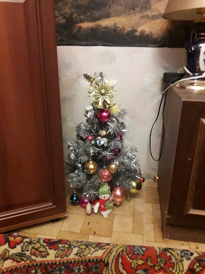 Моя елочка