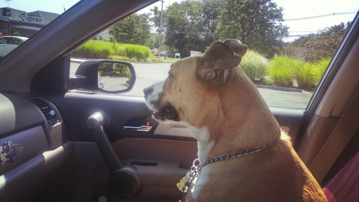 My Lookout...