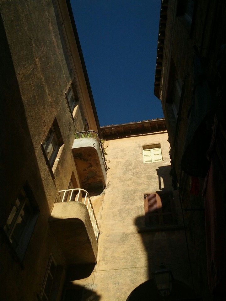 sun shining in
