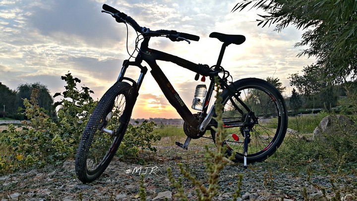 cycle