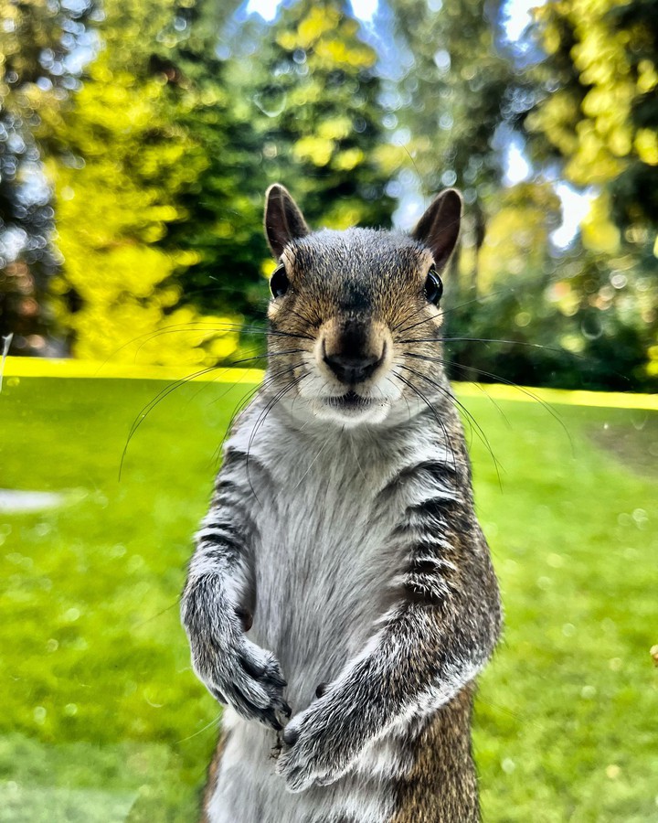 want to try fight me?!!