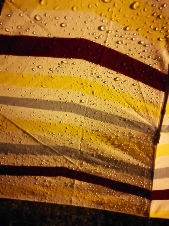 Rain