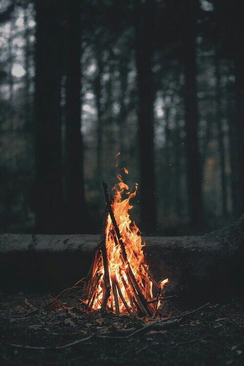 Watch it Burn