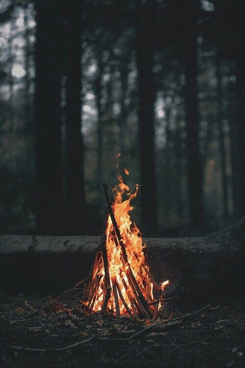 Watch it Burn
