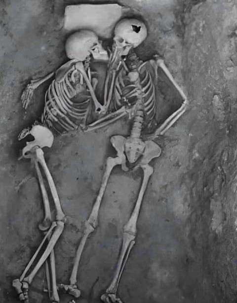 monochrome, bone háttérképek