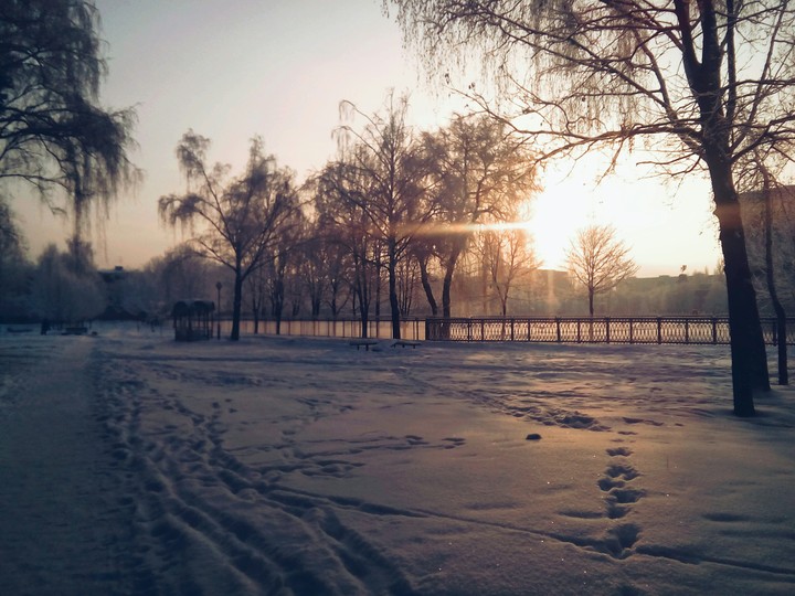Winter morning