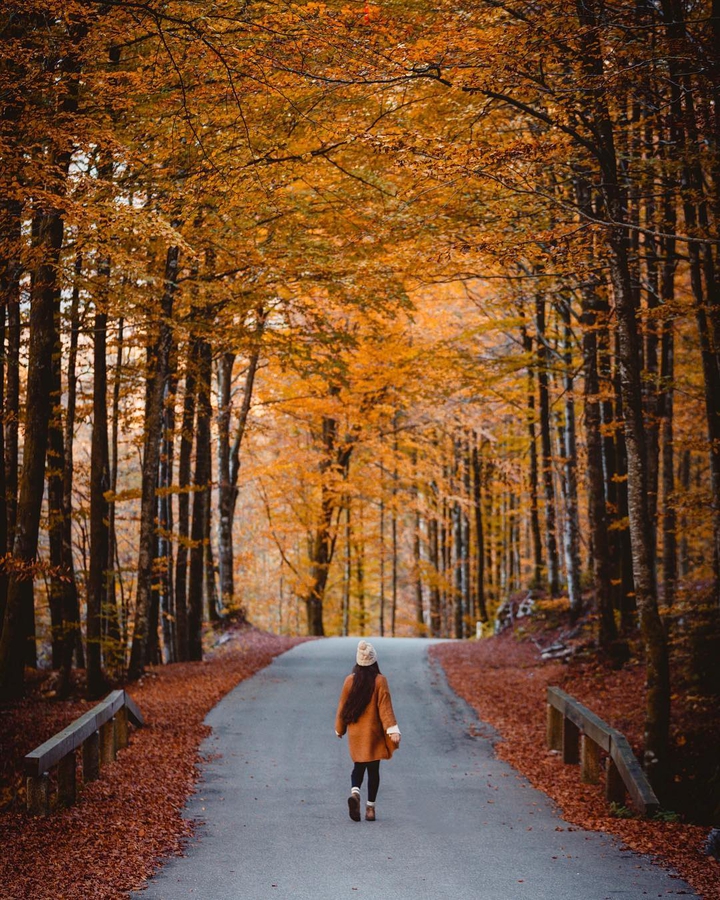 THE AUTUMN TRAIL