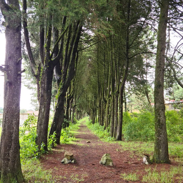 El sendero o camino de los enamorados