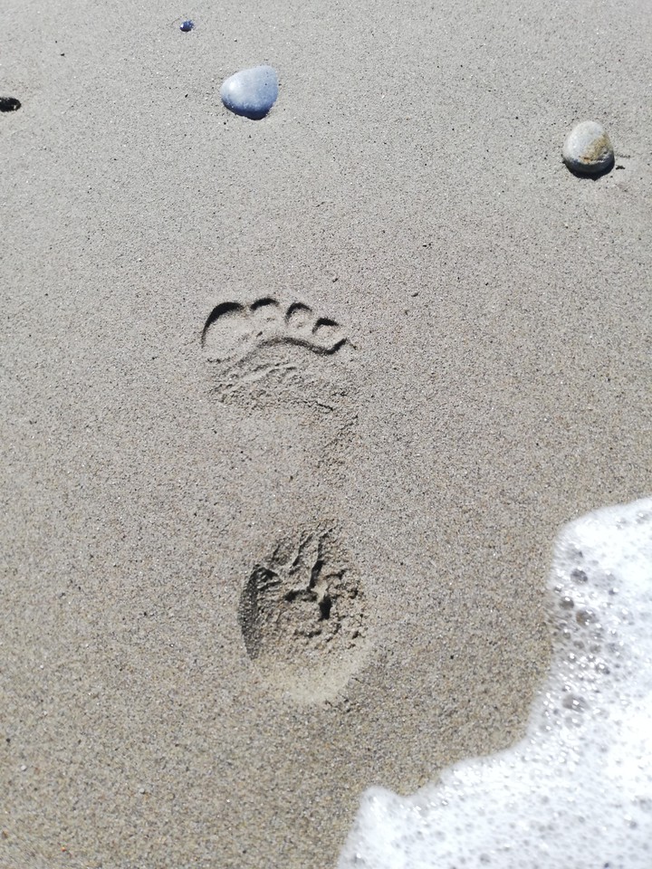 footprint on the beach