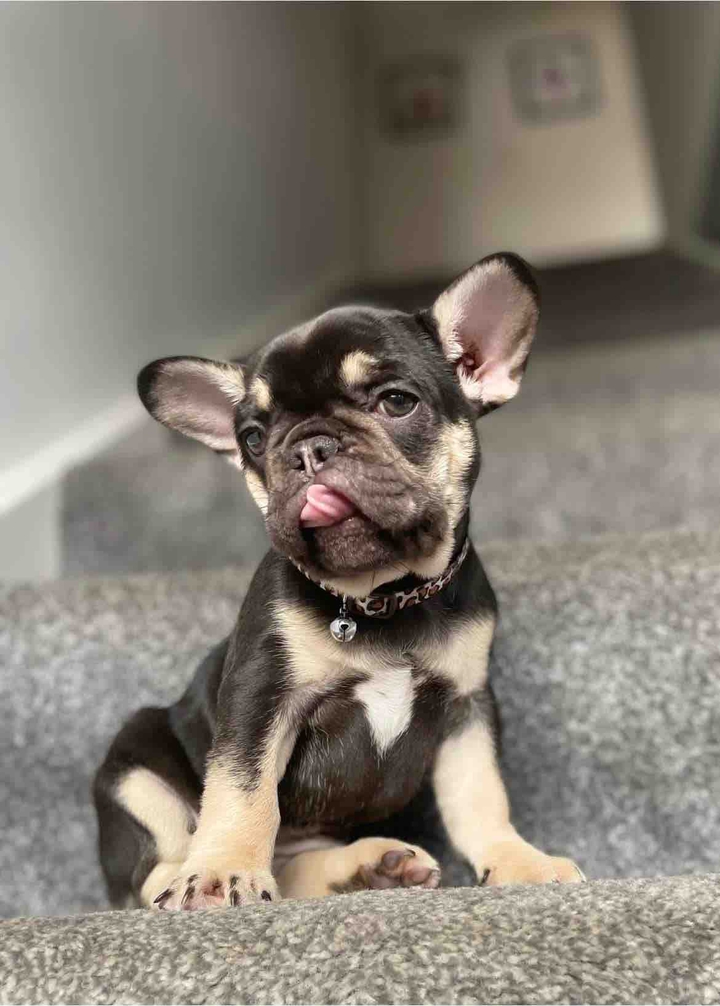 cute