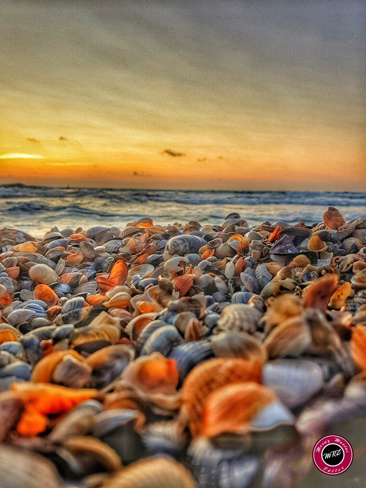 Beach and sea