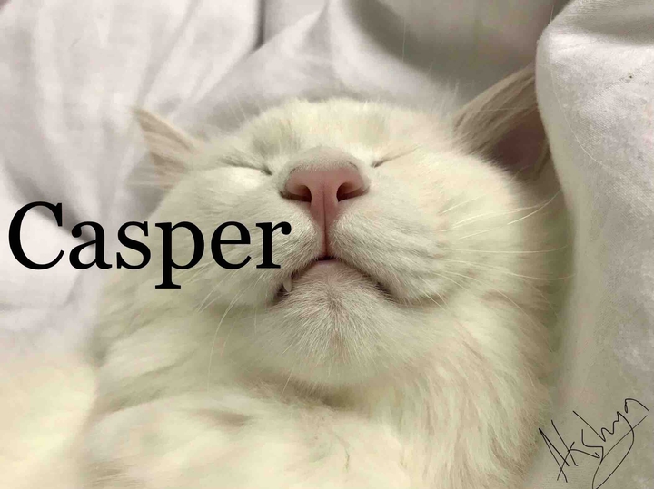 Casper