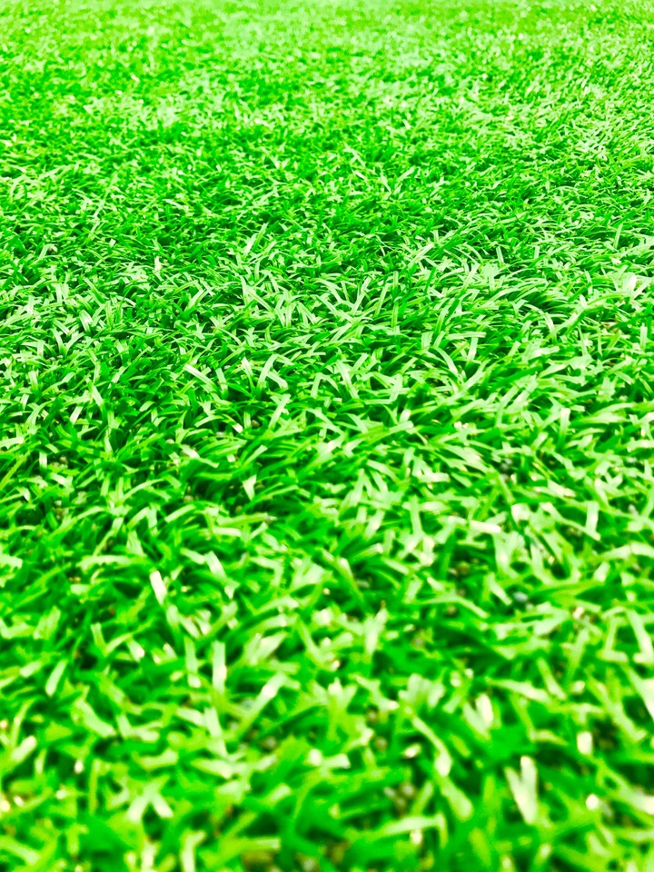 green grass
