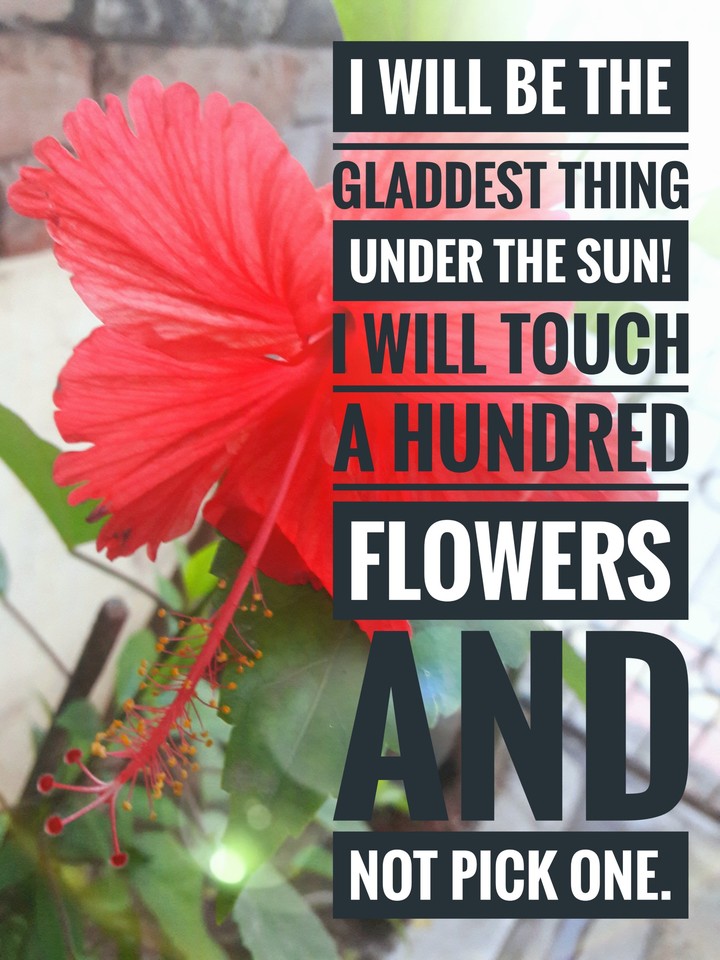 quote
